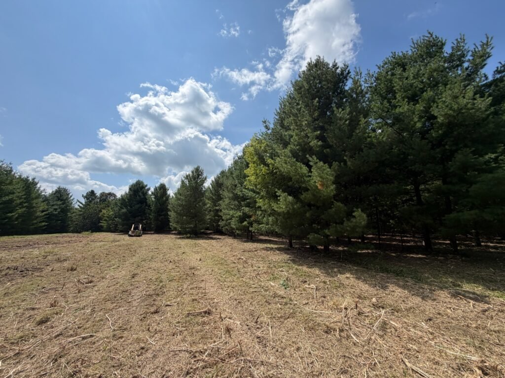 mulching